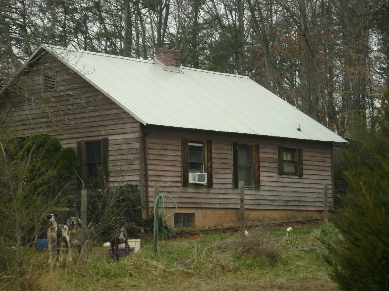 White metal roof on an old wood sided farmhouse, from a Metal Roof Installation job in Greycliff